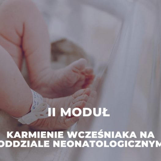 Karmienie wcześniaka na oddziale neonatologicznym – warsztat praktyczny